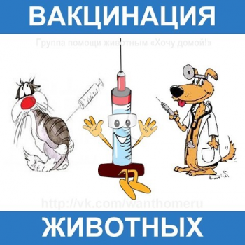 Вакцинация животных